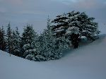 thumb_lebanon_02_04_49dig.jpg
